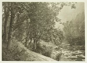 The Path Over The First Brae, Dove Dale, 1880s. Creator: Peter Henry Emerson