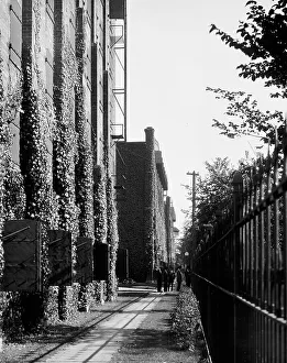 Distilling Prints: Path in front of warehouse, Hiram Walker & Sons