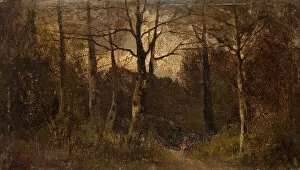 British School Gallery: Path through a Wood, 1900. Creator: Unknown