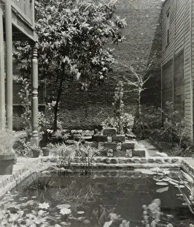 Ornamental Pond Prints: My patio court, March 21 to May, 1946. Creator: Frances Benjamin Johnston