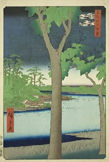 The Paulownia Grove at Akasaka (Akasaka Kiribatake), from the series One Hundred... 1856. Creator: Ando Hiroshige. The Paulownia Grove at Akasaka (Akasaka Kiribatake), from the series One Hundred... 1856. Creator: Ando Hiroshige