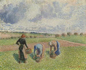 Country Village Gallery: Paysannes ramassant des herbes, Eragny, 1886
