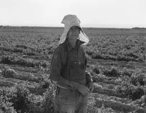 Peas Prints: Pea picker at the end of the day, near Calipatria, 1939. Creator: Dorothea Lange