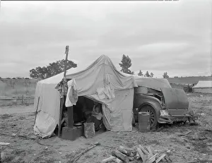 Refugee Camp Prints: Pea picker's home, Nipomo, California, 1936. Creator: Dorothea Lange