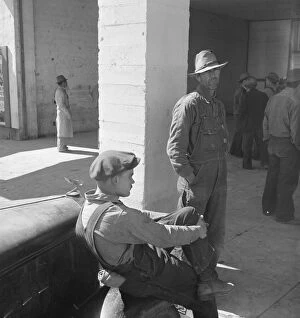 Displaced Person Gallery: Pea pickers waiting at FSA office for issue of surplus commodities, Calipatria, California, 1939