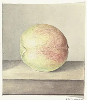 Jean Bernard Prints: Peach, 1775-1833. Creator: Jean Bernard