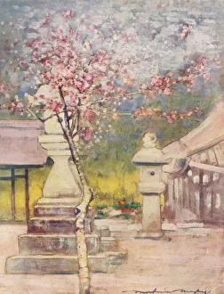 A Record In Colour Prints: Peach-Blossom, c1887, (1901). Artist: Mortimer L Menpes