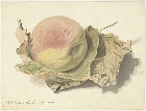 Peach on two leaves, 1803. Creator: Pieter van der Meulen