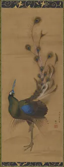 Peacock Feather Prints: Peacock, 1786. Creator: Mori Sosen