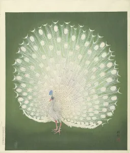 Landscapeanimals And Birds Prints: Peacock, 1925-1936. Creator: Ohara, Koson (1877-1945)
