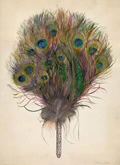 Peacock Feather Fan, c. 1938. Creator: Edna C. Rex