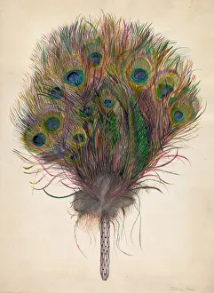 Peacock Feather Prints: Peacock Feather Fan, c. 1938. Creator: Edna C. Rex