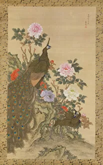 Peacocks Collection: Peacocks and Peonies, 1820. Creator: Tani Buncho