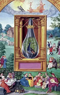 Display Prints: The peacock's tail, 1582. Creator: Unknown
