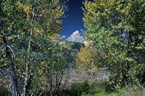 Changing Prints: The Peak. Creator: Robert Manno