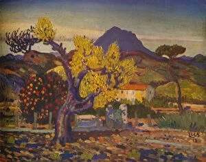 Australia Gallery: Pear Tree in Blossom, 1913 (1932). Artist: Derwent Lees