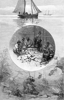 Diving Helmet Gallery: Pearl Fishery, Torres Strait, Australia, 1886