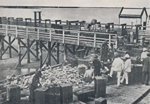 H Clive Prints: The Pearl Fishing Industry - Packing Shell, 1923. Creator: Unknown