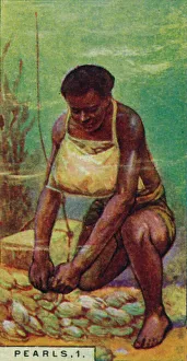 Sea Bed Prints: Pearls 1. Native Diver at Work, Ceylon, 1928