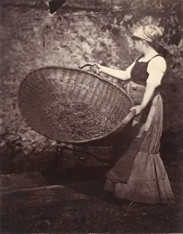 Winnowing Prints: [Peasant Woman with Winnowing Basket], late 1870s. Creator: Unknown