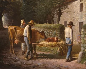 Calf Prints: Peasants Bringing Home a Calf Born in the Fields, 1864. Creator: Jean Francois Millet