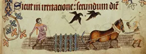 Peasants ploughing (From the Luttrell Psalter), ca 1330. Artist: Anonymous Peasants ploughing (From the Luttrell Psalter), ca 1330. Artist: Anonymous