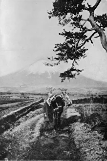 Chubu Prints: Peasants of the region of Fuji not by name but merely as O Yama
