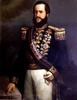 Pedro II. (1825-1891), emperor of Brazil