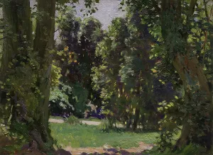 Peel Forest, c1920s. Creator: Archibald Frank Nicoll