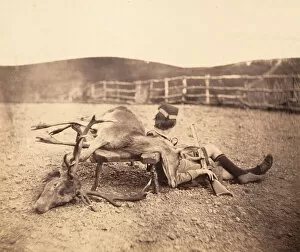 Stag Gallery: [Peel Ross with Hunting Trophies], ca. 1856-1859. Creator: Horatio Ross