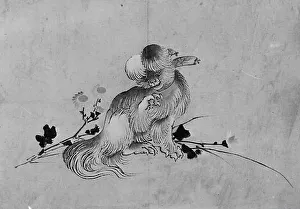 Pekingese, 19th century. Creator: Hokusai School