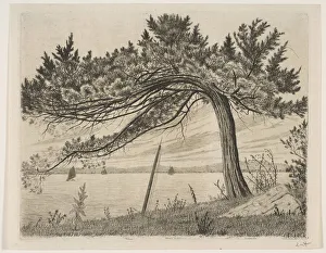 Nineteenth Cen Prints: Pelham Bay, ca. 1875. Creator: Henry Farrer