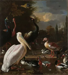 Melchior Dhondecoeter Prints: A Pelican and other Birds near a Pool