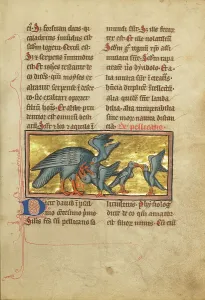 Bestiary Prints: A Pelican Feeding her Young; De Natura Avium; De Pastoribus et Ovibus; Bestiarium