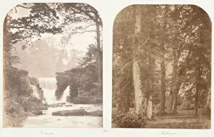 Waterfalls Gallery: Penllergare; Penllergare, 1853-1856. Creator: James Knight