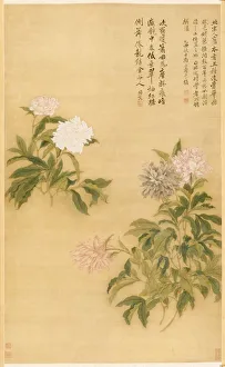 1644 1911 Prints: Peonies, 1685. Creator: Yun Shouping (Chinese, 1633-1690)