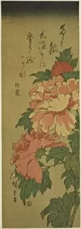Chutanzaku Gallery: Peonies, c. 1843/47. Creator: Ando Hiroshige