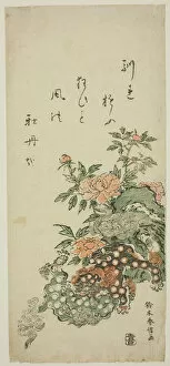 Peonies and Chinese Lions, c. 1762. Creator: Suzuki Harunobu