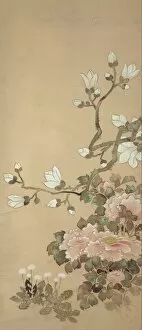 Dandelion Gallery: Peonies, Magnolia, and Dandelions, 18th century. Creator: School of Tawaraya Sôtatsu