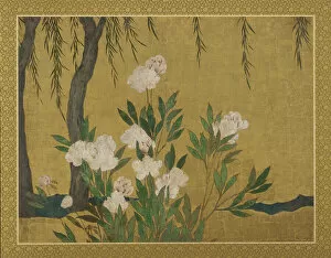 Gold Leaf Collection: Peonies and willows, Momoyama or Edo period, Early 17th century. Creator: Hasegawa Tonin