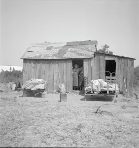 Okies Prints: People living in miserable poverty