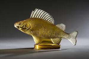 Automibilia Gallery: Perche amber Lalique mascot. Creator: Unknown