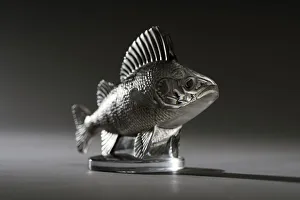 Perche clear Lalique mascot. Creator: Unknown