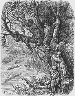High Prints: Perched in the Trees, 1872. Creator: Gustave Doré