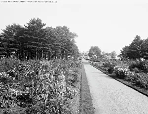 Massachusetts United States Prints: Perennial garden, High Lawn House, Lenox, Mass. between 1900 and 1920. Creator: Unknown