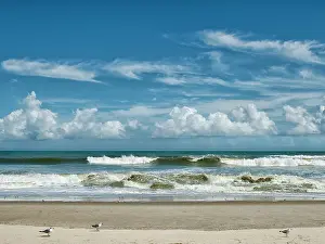 Wading Bird Prints: Perfect Day. Creator: Eve Turek