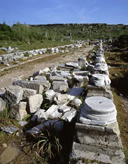 Perge Prints: Perge, Turkey, 2019. Creator: Ethel Davies