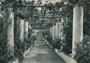 Capri Prints: Pergola in a vineyard, Capri, Italy, 1927. Artist: Eugen Poppel