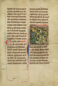 Bestiary Prints: A Peridexion Tree; De Natura Avium; De Pastoribus et Ovibus; Bestiarium
