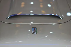 President Collection: Perons Car, Coche Justicialista, 2015. Creator: Luis Rosendo
